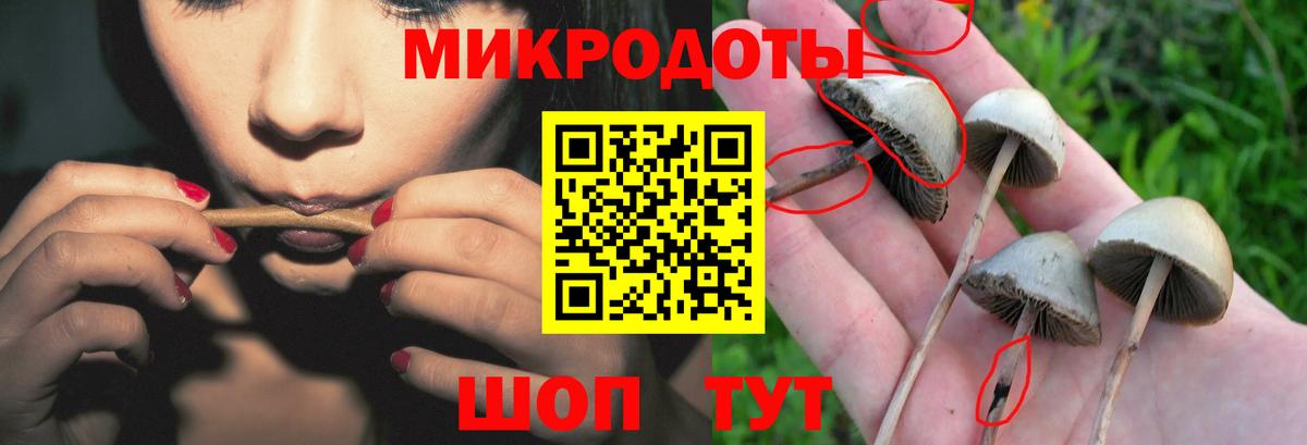 Галлюциногенные грибы Magic Shrooms  Вход с VPN  Псилоцибиновые грибы прущие грибы  Рубцовск 